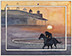2017 Breeders Cup at Del Mar VI